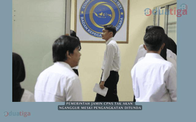 Pemerintah Jamin CPNS Tak Akan Nganggur Meski Pengangkatan Ditunda