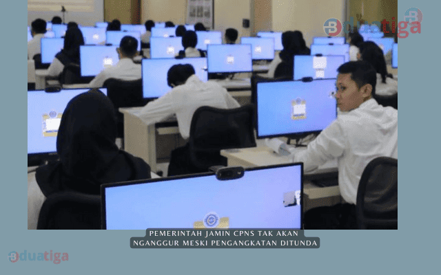 Pemerintah Jamin CPNS Tak Akan Nganggur Meski Pengangkatan Ditunda